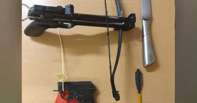 The deadly weapons uncovered inside a Mini in a 'routine stop'