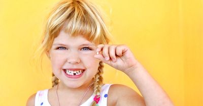 How much the Tooth Fairy is leaving in 2023 as cost of living brings price down