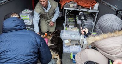 This Morning vet Scott Miller flies to Ukraine to help dogs injured in war