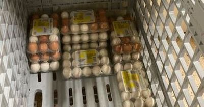 Tesco is selling more white eggs as national shortage continues