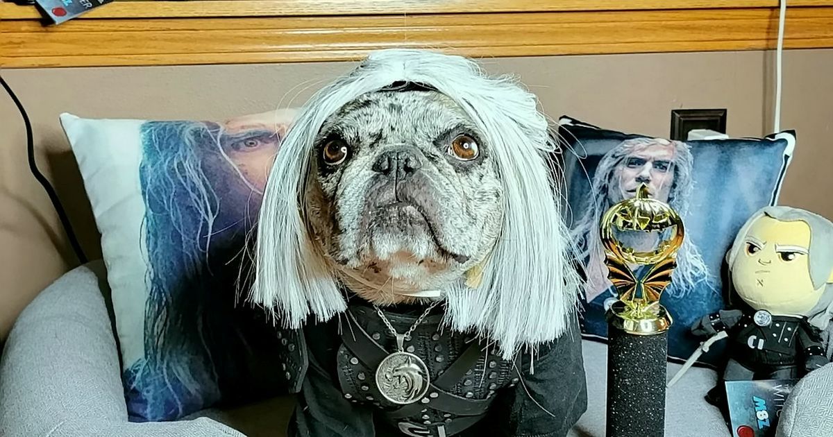 Frenchie 'obsessed' with actor Henry Cavill and has…