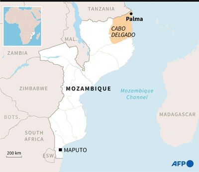 Total CEO expected in Mozambique after gas project halted