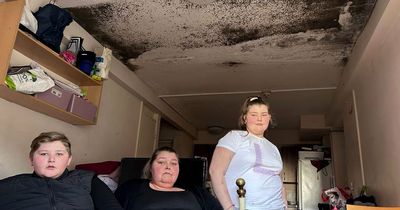 Irish traveller mum living in 'disgusting' Nottingham council flat with ceiling covered in mould