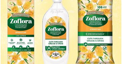 Mrs Hinch’s favourite Zoflora fragrance is back on the shelves at B&M and fans are thrilled