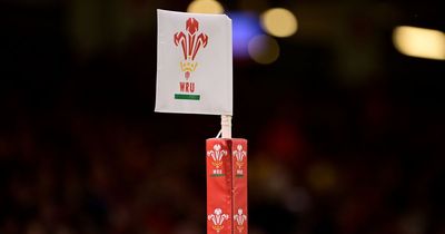 Welsh Rugby Union bans song from Principality Stadium ahead of Ireland Six Nations match