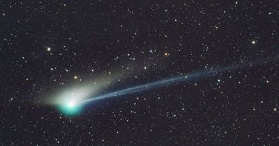 Green comet TONIGHT: Best time to see 'awesome' 50,000-year-old comet fly past Earth