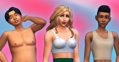 The Sims launches gender affirming character updates including top surgery scars