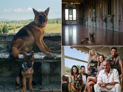 Meet the German shepherd who was the richest dog in the world — and had a huge secret