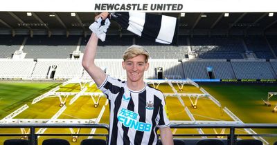 Rating Newcastle United's transfer window as Magpies look to go from hopefuls to Champions League contenders