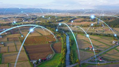 ‘Green hushing’ won’t help profitability. Innovation will