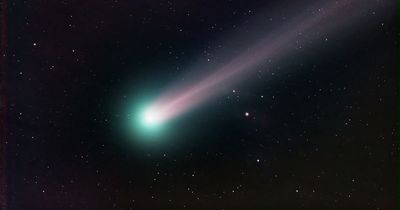 Green comet to light up Glasgow skies for the 'first time since the Stone Age' - how to see it