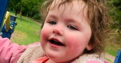 Girl, 4, killed in Milton Keynes dog attack mauled by FAMILY pet shot dead at scene