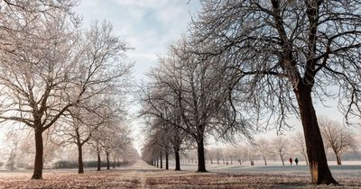 UK starts 2023 with third sunniest January on record
