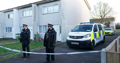 Girl, four, was mauled to death by pet dog in ‘tragic, isolated incident’