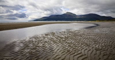 Co Down wastewater works face upgrade call amid pollution concerns for shellfish