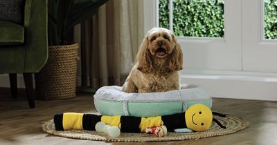 Full list of Aldi's Specialbuy pet range including £12.99 plush donut bed, cat treats and more