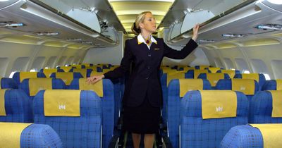 Ex-Ryanair flight attendant reveals the strangest items passengers steal as 'souvenirs'