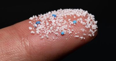 Tiny bits of plastic used to make paint and food packaging found in human veins