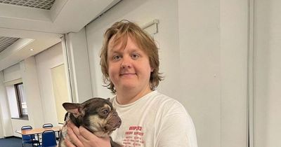 Lewis Capaldi gets adorable visit from Welsh rescue dogs before big Cardiff show