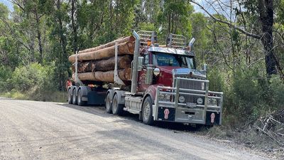 Government departments at odds over protecting Yabba State Forest near the Sunshine Coast from logging