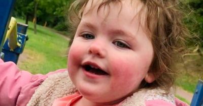 Young girl, 4, mauled to death by dog before police arrive and shoot animal dead