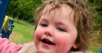 Death of girl, 4, in latest dog attack begs the question: 'When will someone care?'