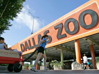 Two stolen monkeys, slashed fences and a dead vulture: What is behind the strange incidents at the Dallas Zoo?