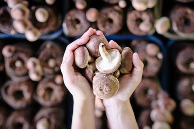 3 biggest mushroom mistakes to avoid