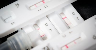 Covid cases rise by 50% in 10 days as Kraken variant takes hold of UK