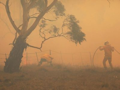Barilaro's office denied bushfire funds in Labor seats