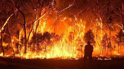 Department of Regional NSW fast-tracked bushfire grant process 'lacked integrity'