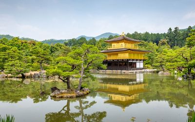 Sumos, temples and geishas – a Japan journey not to be missed
