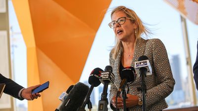 New WA Liberal leader Libby Mettam succeeds in removing Nick Goiran as he relinquishes role
