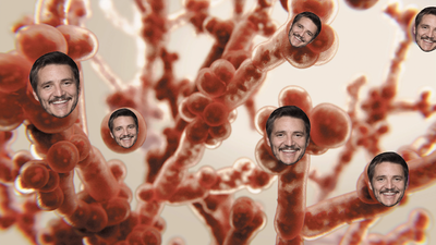 A Deadly Fungal Infection Is Spreading Across The US When Will Pedro Pascal Come And Save Me?