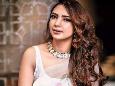 Exclusive! Pooja Banerjee returns to TV with Bade Acche Lagte Hain 2; actress says, 'I was more nervous about facing Mumbai traffic than the camera'