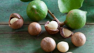 Macadamias Australia sells farm and processing plant to Canadian investment company