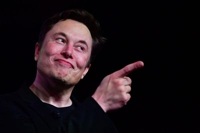 South Australian council forced to dispel ‘bizarre’ claims of Elon Musk using mind-control chips