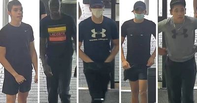 Police seek five suspects in cross-border crime wave