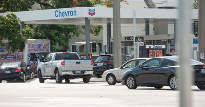 Severed penis discovered lying in petrol station forecourt leaving garage staff stunned