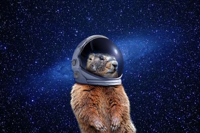 Groundhog Day's astronomical roots