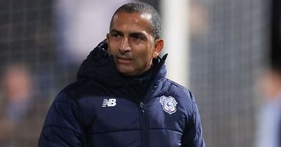 Cardiff City's Sabri Lamouchi reveals stance on free agent signings and the one concern he now has