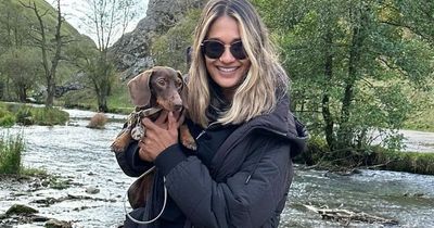 Heartwarming moment woman rescues her missing dog from river after scammer threatened to kill pet