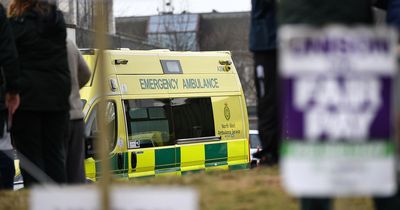 Ambulance bosses issue plea to the public ahead of strike action next week