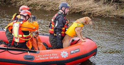 Nicola Bulley search intensifies as police divers search river again and close off scene