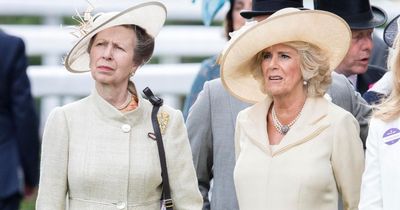 Princess Anne's forgotten relationship with Camilla's ex - and the royals' thawing bond