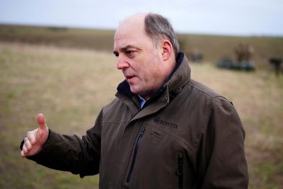 'No magic wand' in Ukraine war, says UK's Wallace on question of supplying jets