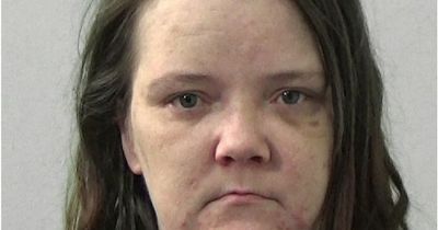 Howdon woman left partner with gaping wound to neck with glass during drunken row about music