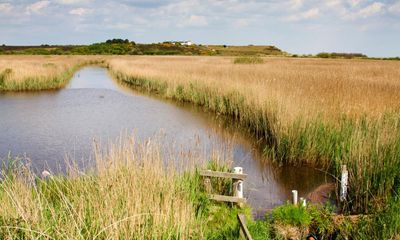 Sizewell C nuclear plant will not harm the nature reserve next to it