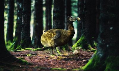 De-extinction plan may go the way of the dodo