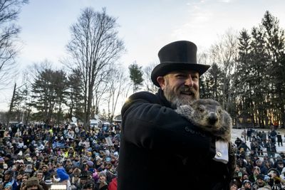 Marmot death overshadows Canada Groundhog Day